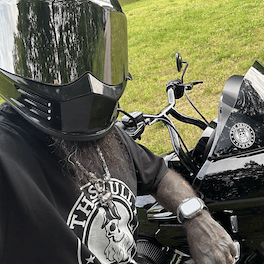 Monthly Biker Tshirts